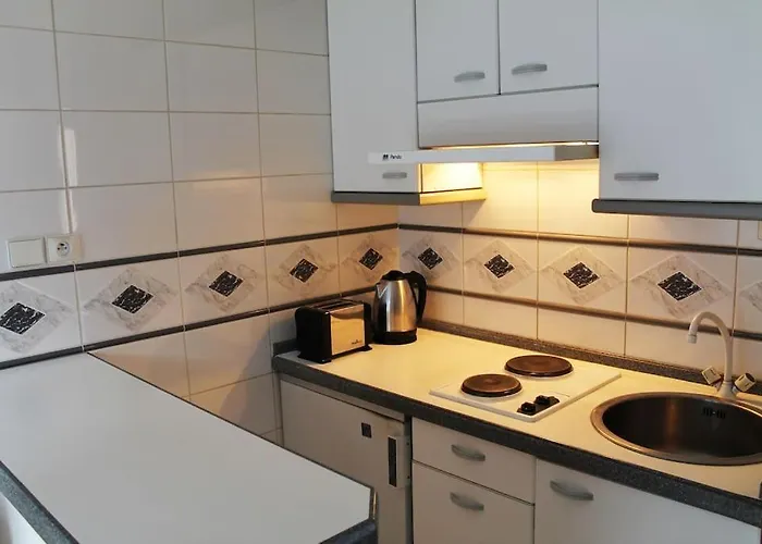 Appartement Soleado En El Corazon De Pirineos Esquièze - Sère